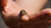 camp28 (458)_thumb.png